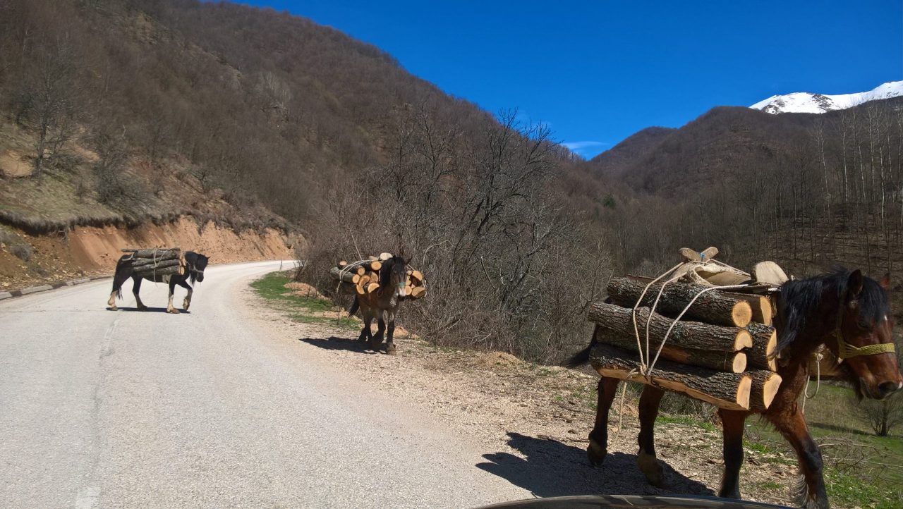 Prevoz Nis Stara Planina